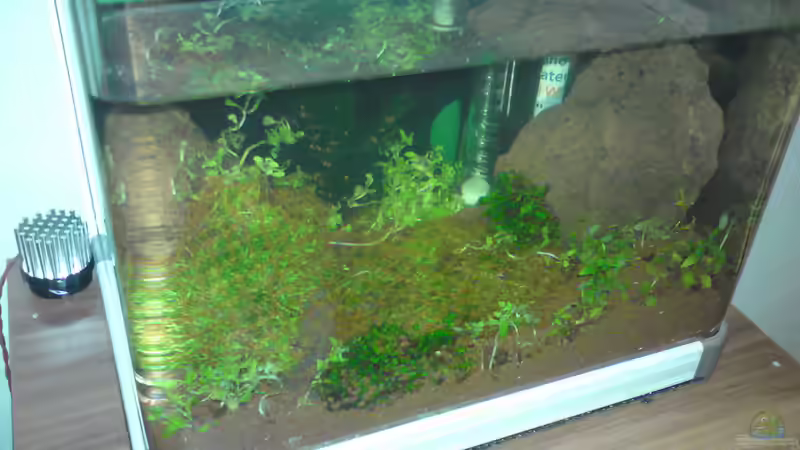 Aquarium Cube von Aquamaster (4)