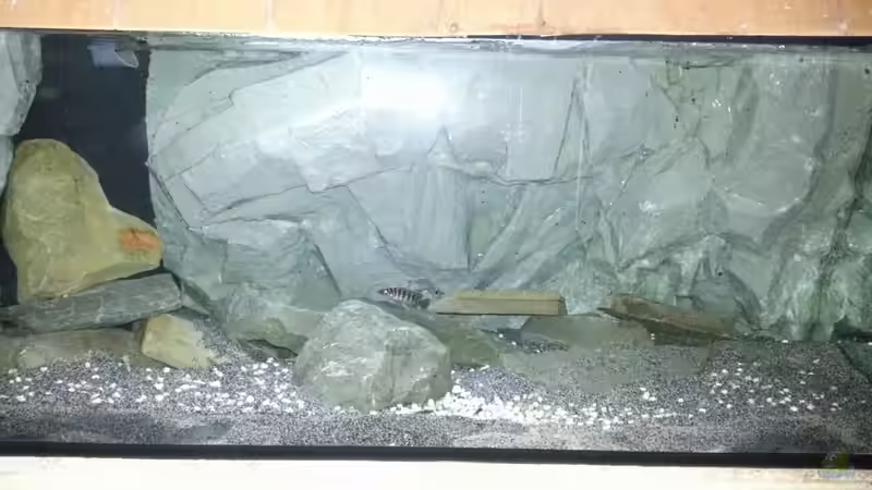 Aquarium Dark Cave of Masala Island von Julien Preuß (10)