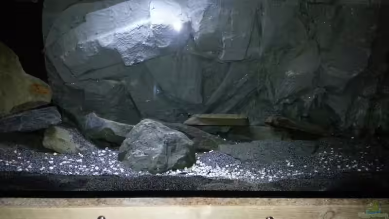 Aquarium Dark Cave of Masala Island von Julien Preuß (3)