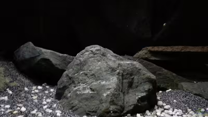 Aquarium Dark Cave of Masala Island von Julien Preuß (5)