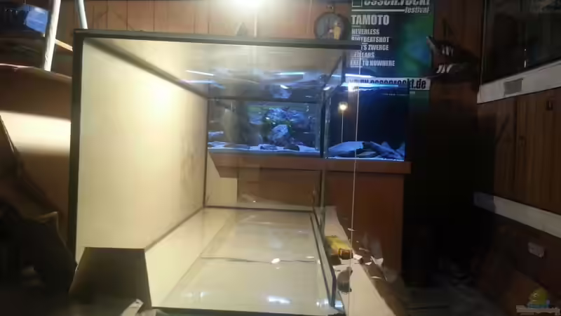 Aquarium Dark Cave of Masala Island von Julien Preuß (6)