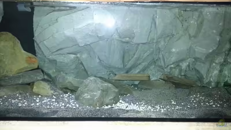 Aquarium Dark Cave of Masala Island von Julien Preuß (8)