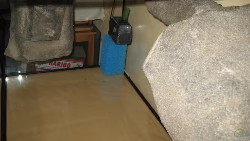 Aquarium dark dream von LaEy (10)