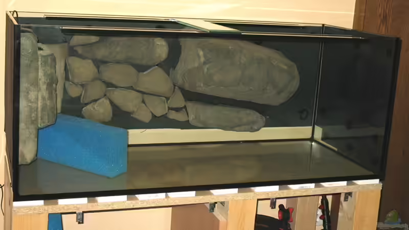 Aquarium dark dream von LaEy (11)