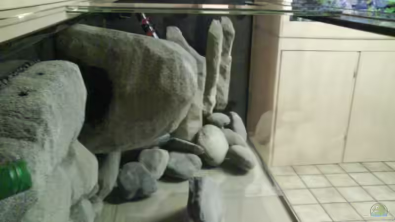 Aquarium dark dream von LaEy (12)