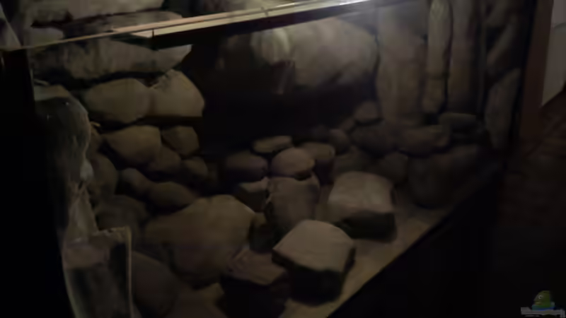 Aquarium dark dream von LaEy (14)