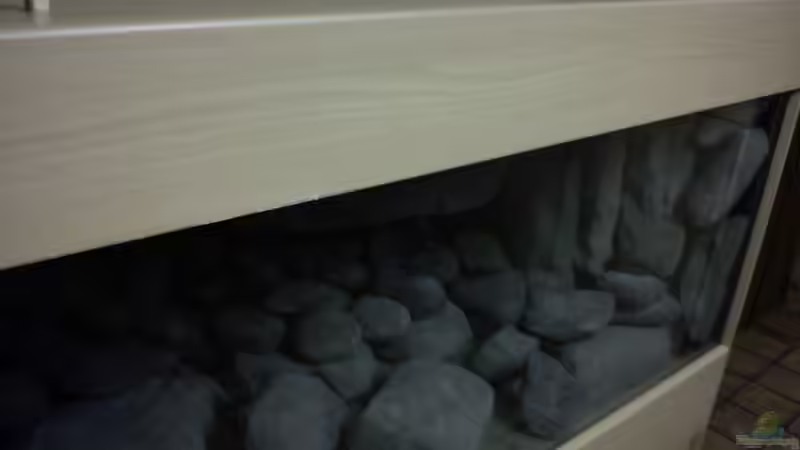 Aquarium dark dream von LaEy (16)