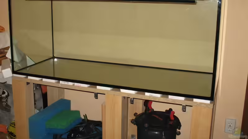 Aquarium dark dream von LaEy (4)