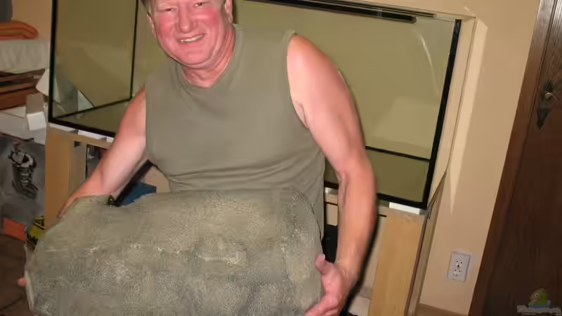 Aquarium dark dream von LaEy (5)