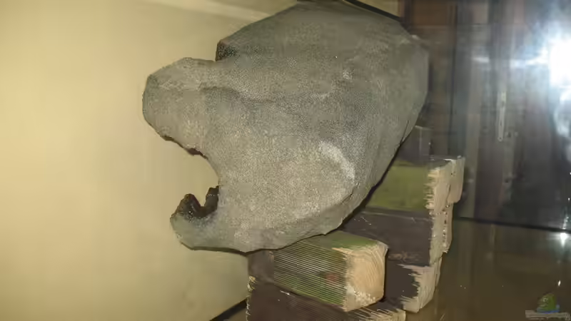 Aquarium dark dream von LaEy (7)