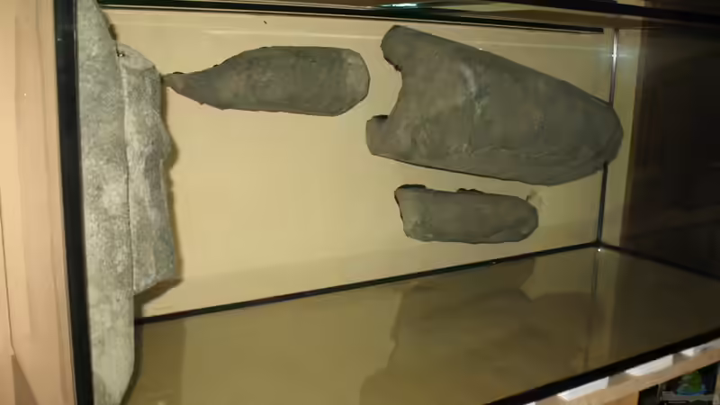 Aquarium dark dream von LaEy (9)