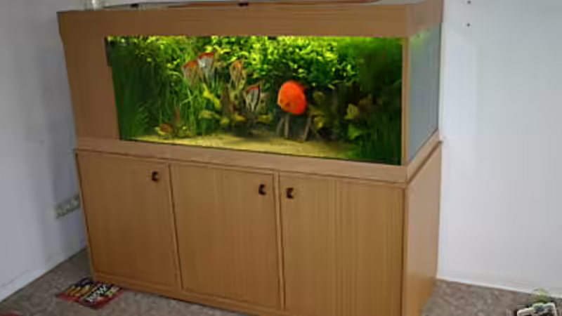 Aquarium Das Becken gibt es nicht mehr!!!! von Skyblyes (3)