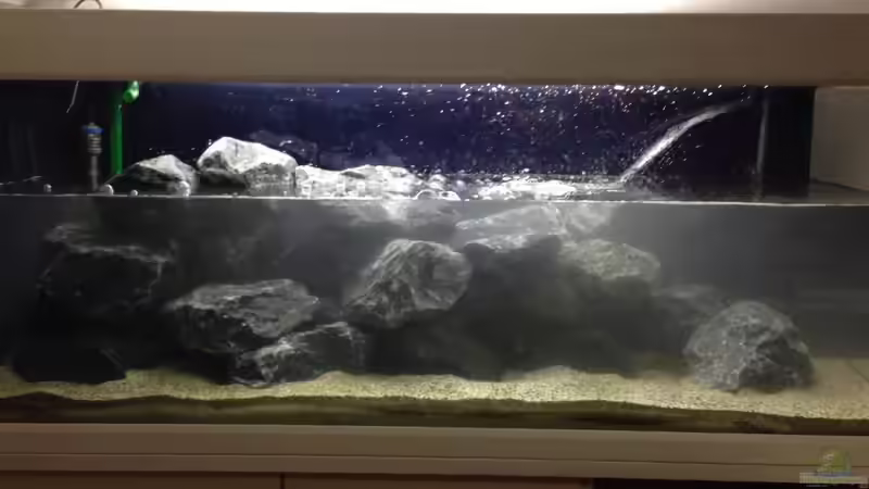 Aquarium Das erste mal Malawi von Kunx (4)