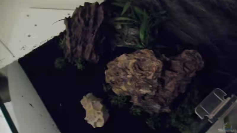 Aquarium Das Kleine (Nur noch als Beispiel) von Ruppinho (11)