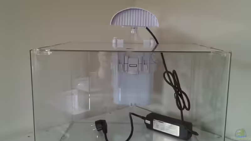 Aquarium Das Kleine (Nur noch als Beispiel) von Ruppinho (2)