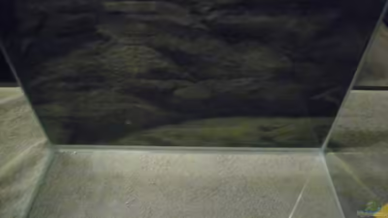 Aquarium Das Kleine (Nur noch als Beispiel) von Ruppinho (4)