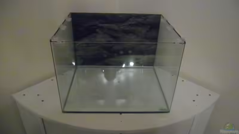 Aquarium Das Kleine (Nur noch als Beispiel) von Ruppinho (5)