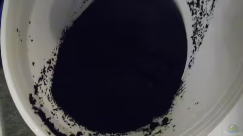 Aquarium Das Kleine (Nur noch als Beispiel) von Ruppinho (6)