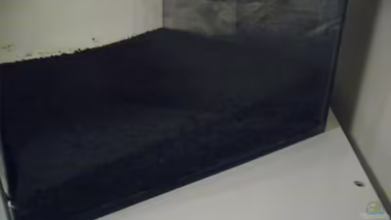 Aquarium Das Kleine (Nur noch als Beispiel) von Ruppinho (7)