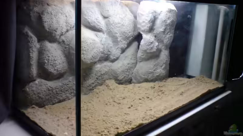 Aquarium Das Tanganjikabecken von timme (11)