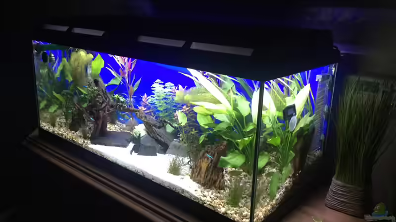 Aquarium Deep Blue Sea von .Andreas. (5)