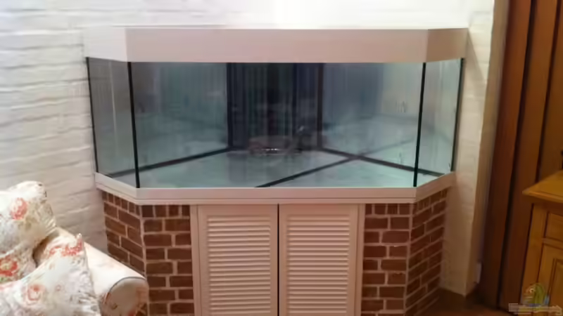 Aquarium Delta Rock von Olaf H. (6)