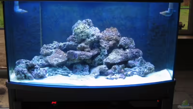 Aquarium Deltec von Holgi K. (3)