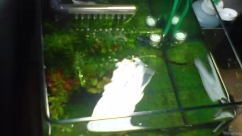 Aquarium Dennerle Nano Cube 20 Liter von yuezueak (3)
