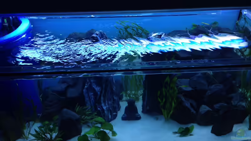 Aquarium Der vergessene Buddha von chewi86 (2)