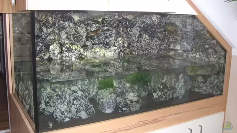 Aquarium Die Granithöhle von Markus Maier (11)