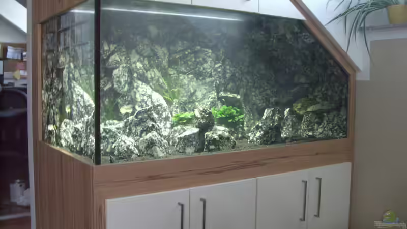 Aquarium Die Granithöhle von Markus Maier (20)