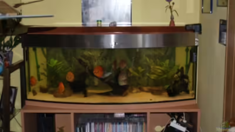 Aquarium Diskus Panorama 160 von andreas45 (5)