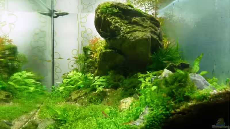 Aquarium Draussen am Kliff von -serok- (2)