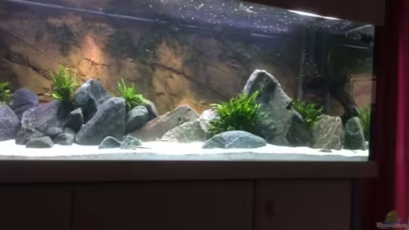 Aquarium East of Africa von Elanco72 (13)