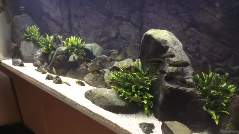 Aquarium East of Africa von Elanco72 (2)