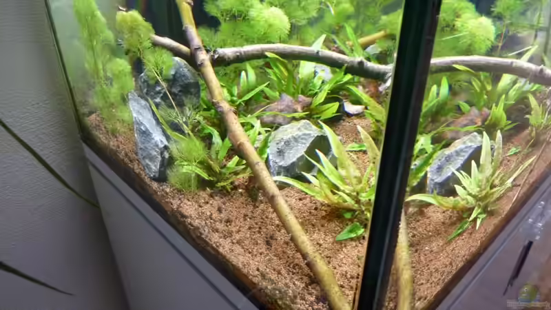 Aquarium Eheim incpiria 300 von Fitti (3)