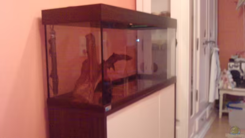 Aquarium eheim mp scubaline120 von Mike Schl. (5)