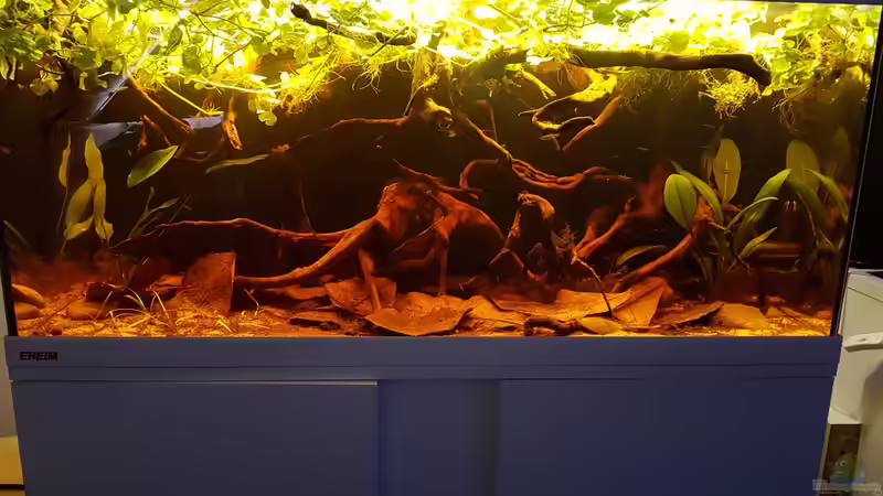 Aquarium Eheim Vivaline LED 180 von Peter Kozma (2)