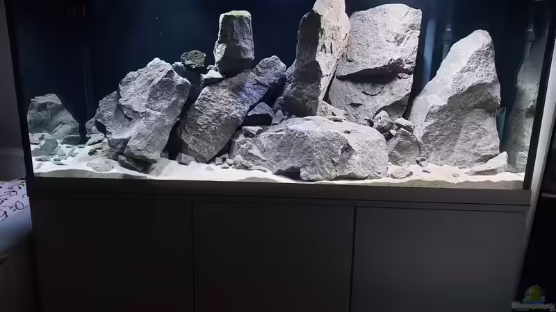 Aquarium Eifel-Phonolith Mbuna von Airlifter (2)