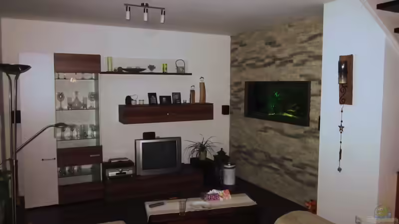 Aquarium Ein Stück Heimat von bergstrasse (7)