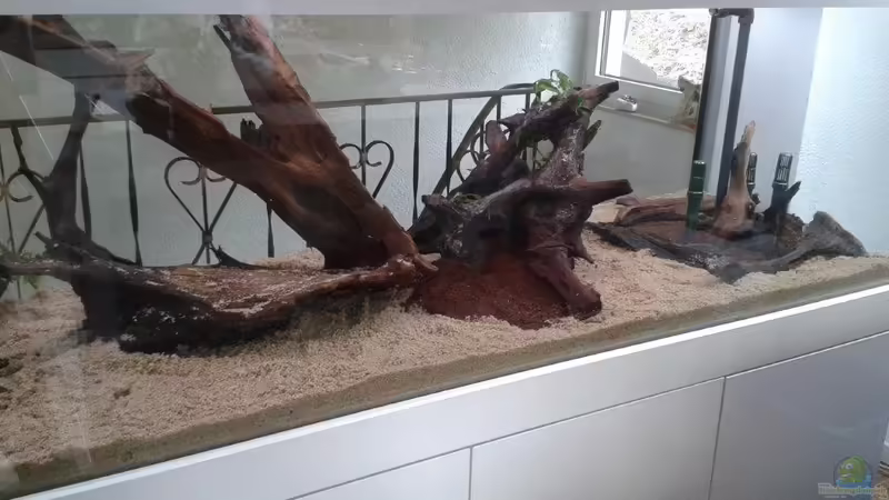 Aquarium Einbau von Klaus R (11)