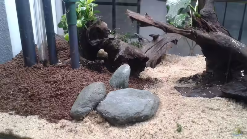 Aquarium Einrichtung von Klaus R (32)