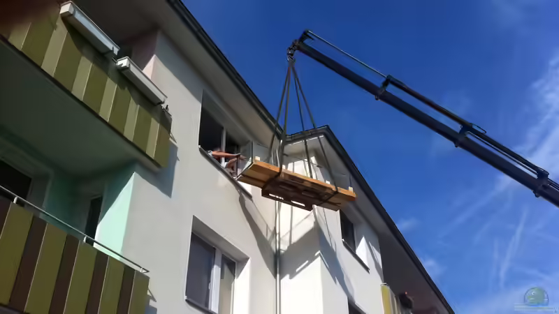 Aquarium Elefanten mit Gesellschaft von Botia (3)