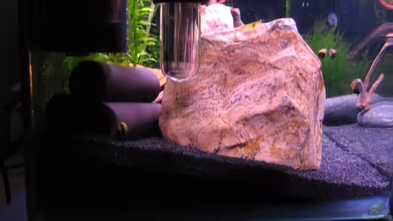 Aquarium Erinnerung von max-sonic (2)