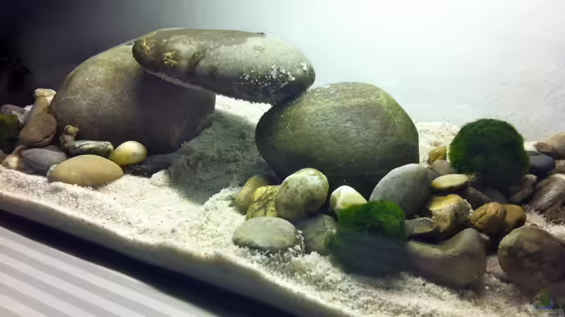 Aquarium Ersatzbecken von linlan (2)