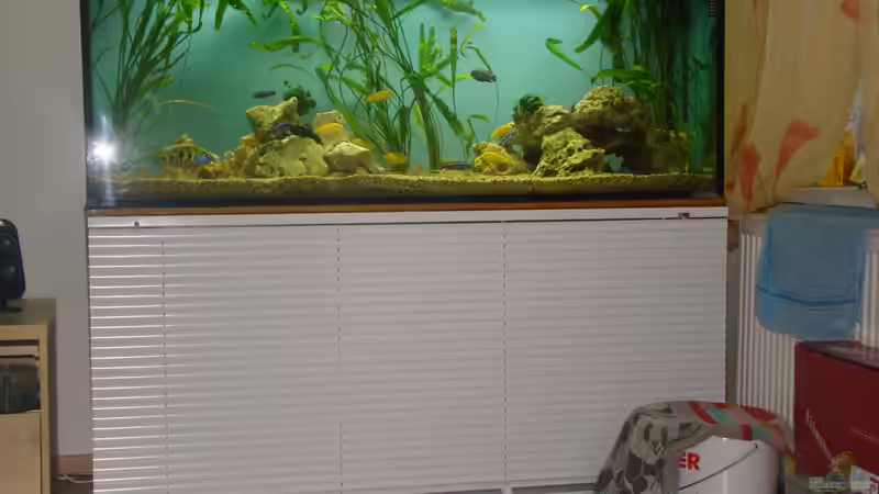 Aquarium Fabian´s neues Becken von Wüstenberger (2)