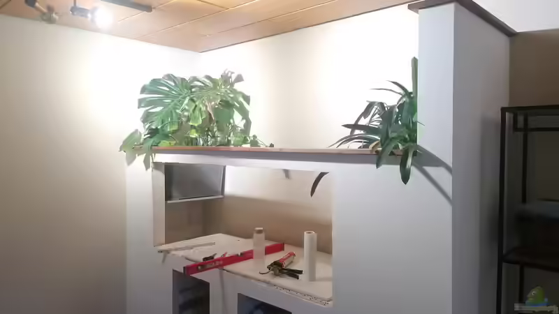 Aquarium Feine Gesellschaft aus Südamerika von DaLi (9)