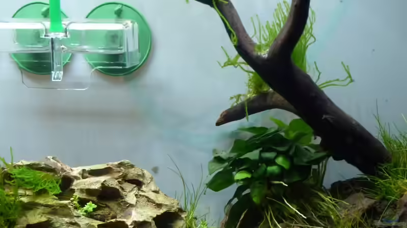 Aquarium Fels in der Brandung (besteht so nicht mehr) von Martin W. (8)