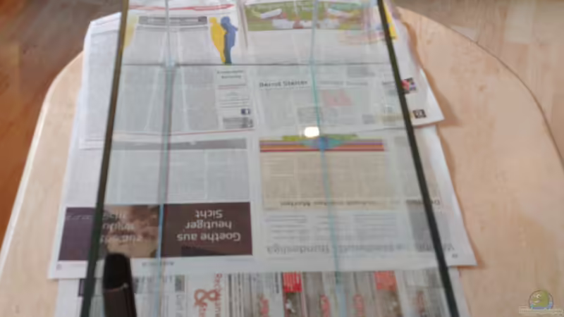 Aquarium Fensterbank von Miss Kasimir (4)