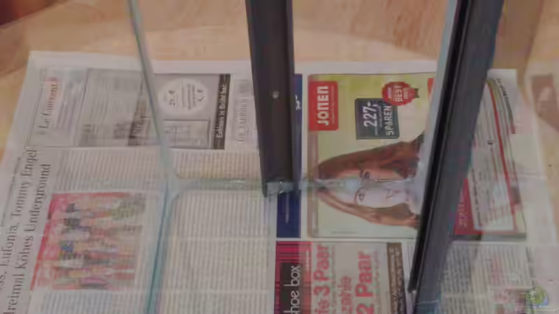 Aquarium Fensterbank von Miss Kasimir (5)